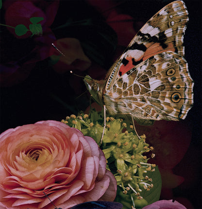 Symphony of Blooms